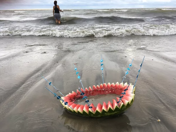 Una sandía ofrendada a Yemayá en la playa Ramírez de Montevideo Una sandía ofrendada a Yemayá en la playa Ramírez de Montevideo - Sputnik Mundo