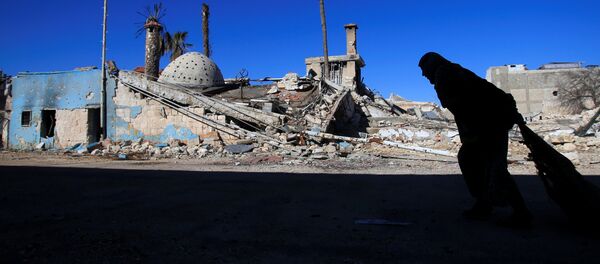 Situación en Siria - Sputnik Mundo
