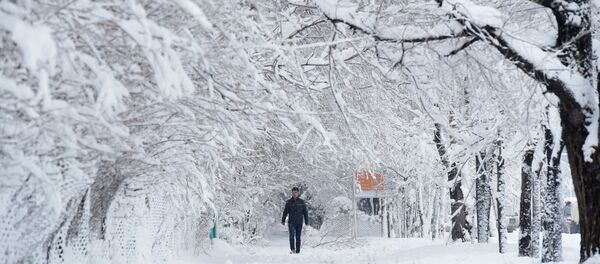 Nevadas en Afganistán - Sputnik Mundo