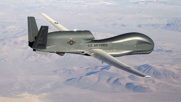 Aparato no tripulado RQ-4 Global Hawk (archivo) - Sputnik Mundo