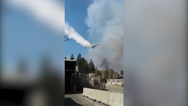 Luchín apaga fuego en Chile - Sputnik Mundo