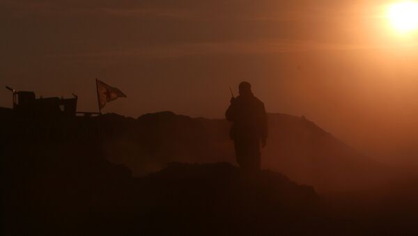 A Syrian Democratic Forces (SDF) fighter stands near a flag in northern Raqqa province, Syria - Sputnik Mundo