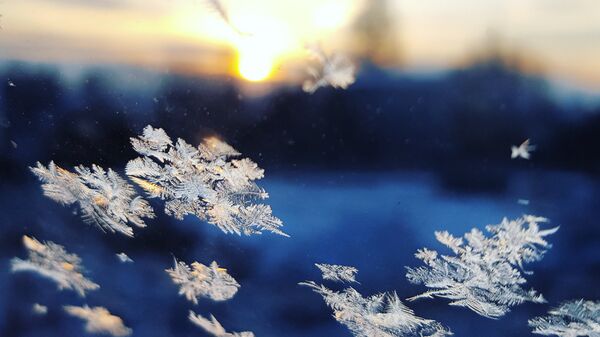 Copos de nieve (imagen referencial) - Sputnik Mundo