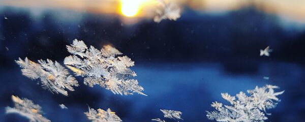 Copos de nieve (imagen referencial) - Sputnik Mundo