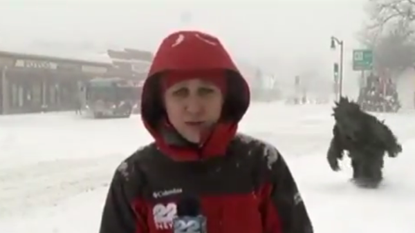 Un 'yeti' pasea por las calles de Springfield - Sputnik Mundo