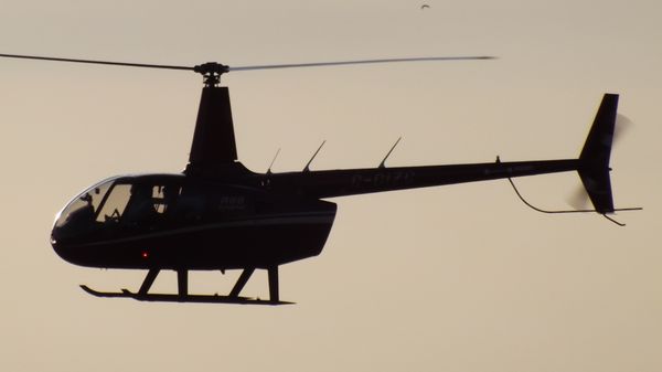 Helicóptero Robinson R-66 Helicóptero Robinson R-66 - Sputnik Mundo