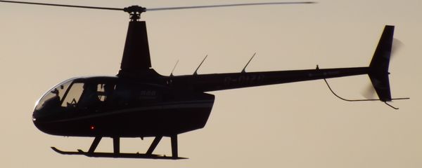 Helicóptero Robinson R-66 Helicóptero Robinson R-66 - Sputnik Mundo