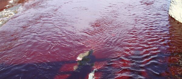 Las aguas del río Kabul en Afganistán teñidas de rojo - Sputnik Mundo