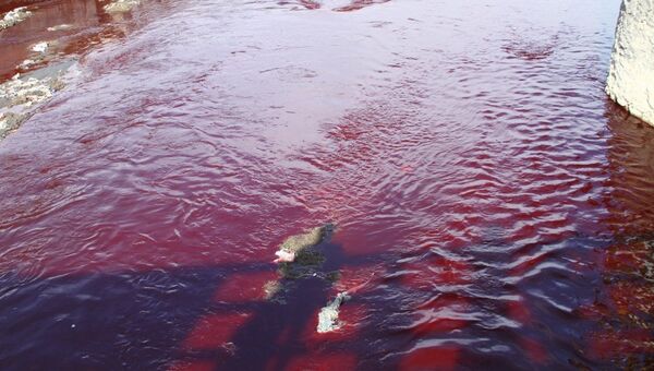 Las aguas del río Kabul en Afganistán teñidas de rojo Las aguas del río Kabul en Afganistán teñidas de rojo - Sputnik Mundo