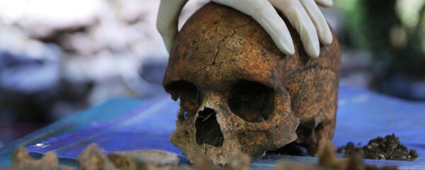 El cráneo de una persona - Sputnik Mundo