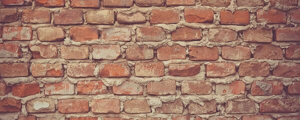 Una muralla - Sputnik Mundo