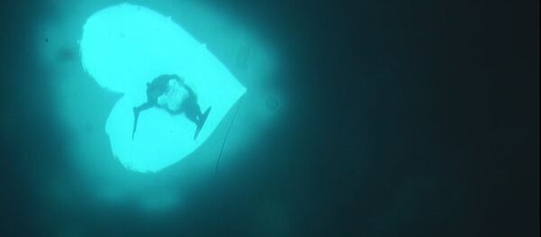 San Valentín en Rusia, amores bajo cero - Sputnik Mundo