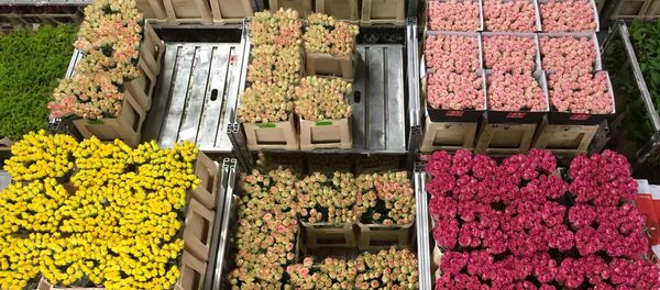 Subasta de flores (imagen referencial) - Sputnik Mundo