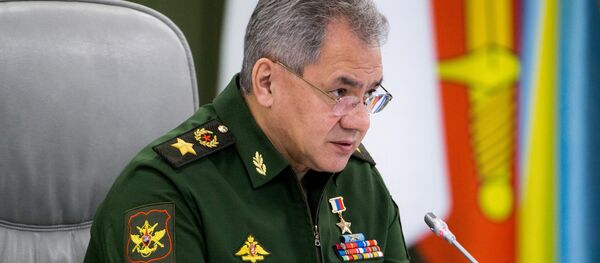 Ministro de Defensa ruso, Serguéi Shoigú - Sputnik Mundo