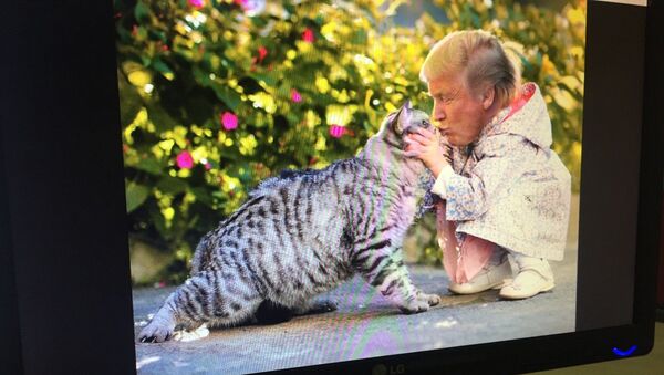 Mini Trump - Sputnik Mundo