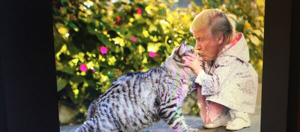 Mini Trump - Sputnik Mundo