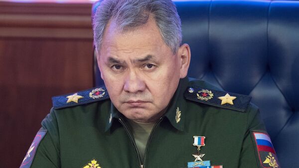 El ministro de Defensa de Rusia, Serguéi Shoigú - Sputnik Mundo