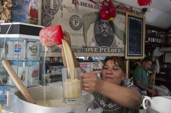 Pulque, bebida tradicional mexicana - Sputnik Mundo