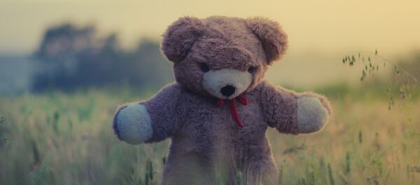 Un osito de peluche - Sputnik Mundo