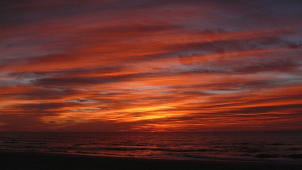 Una costa estadounidense (imagen referencial) Una costa estadounidense (imagen referencial) - Sputnik Mundo