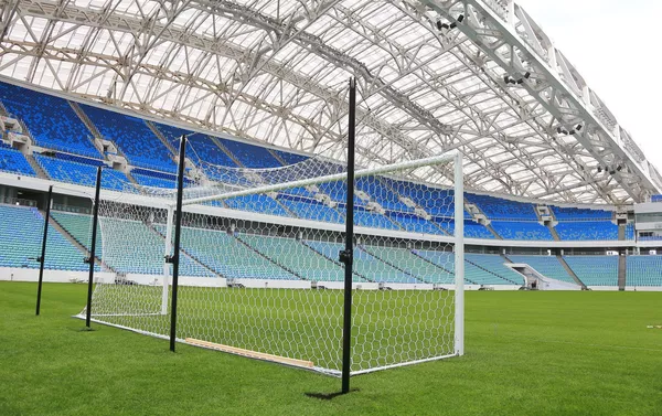 Estadio Olímpico de Sochi - Sputnik Mundo