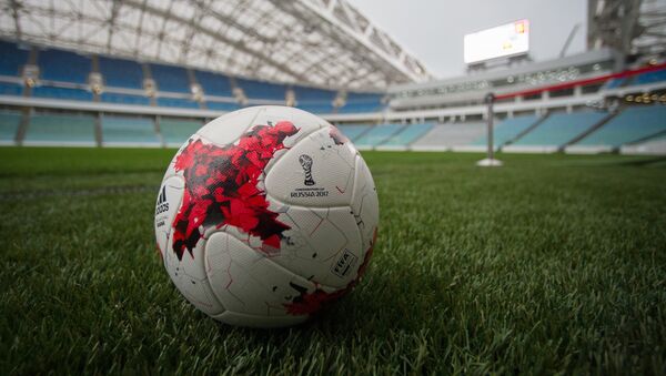 Estadio Olímpico de Sochi - Sputnik Mundo