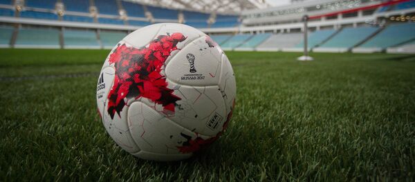 Estadio Olímpico de Sochi - Sputnik Mundo