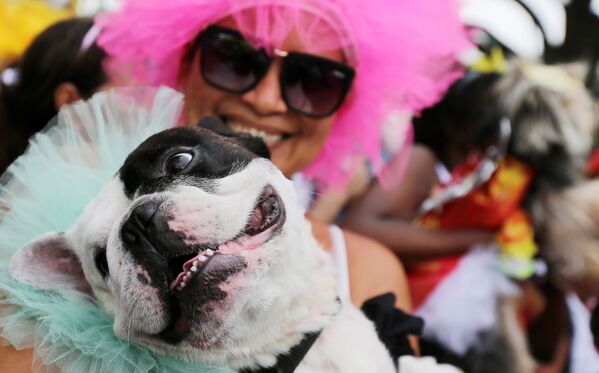 Los colores y el brillo en el carnaval de Río de Janeiro - Sputnik Mundo