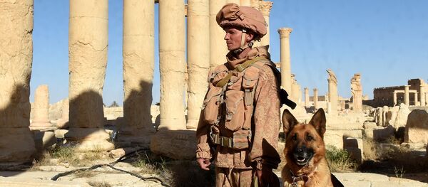 Un militar ruso en Palmira (archivo) - Sputnik Mundo