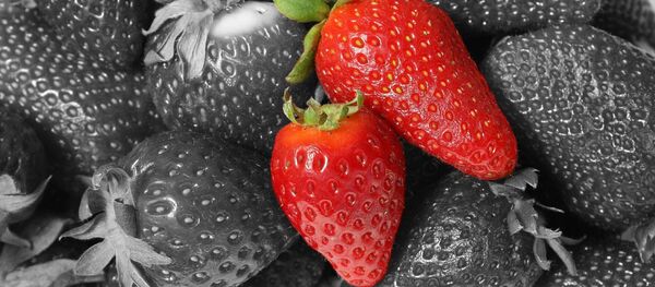 Fresas (imagen referencial) - Sputnik Mundo