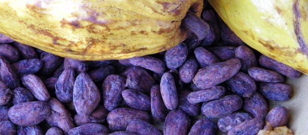 Cacao - Sputnik Mundo