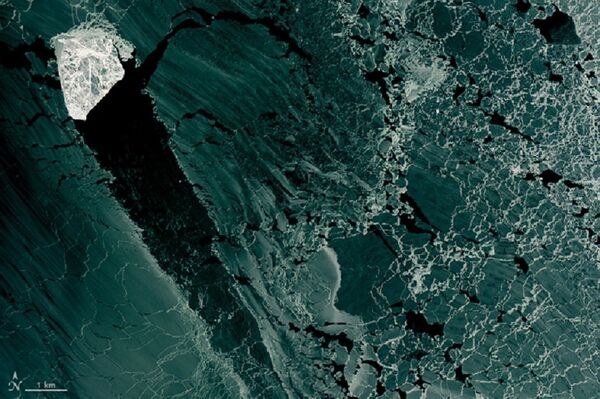 La 'isla' de hielo blanco que, es muy probablemente una pieza que se separó del campo de hielo - Sputnik Mundo