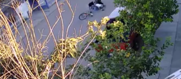 El perro, ¿el mejor enemigo? - Sputnik Mundo