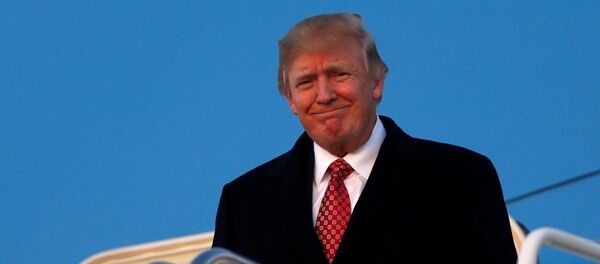 Donald Trump, presidente de EEUU Donald Trump, presidente de EEUU - Sputnik Mundo