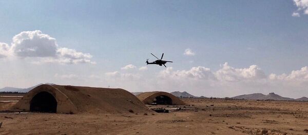 Situación en Palmira - Sputnik Mundo