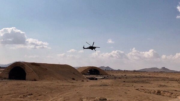 Situación en Palmira - Sputnik Mundo