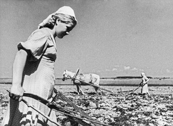 Las mujeres soviéticas trabajan en el campo Las mujeres soviéticas trabajan en el campo - Sputnik Mundo