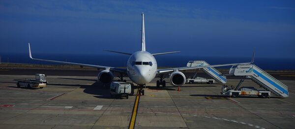 Un avión (imagen referencial) - Sputnik Mundo