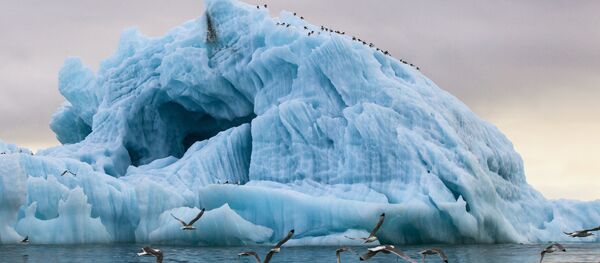 Parque nacional 'Ártico Ruso' - Sputnik Mundo