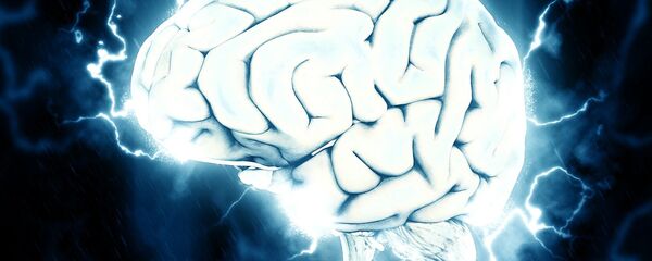 Cerebro (imagen referencial) - Sputnik Mundo