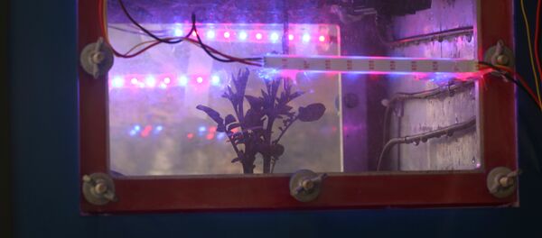 Simulador Cubesat - Sputnik Mundo