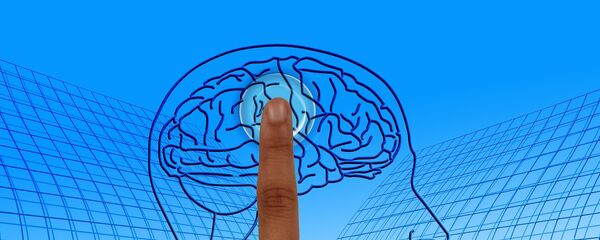 Cerebro humano (ilustración) - Sputnik Mundo