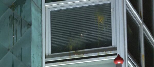 Ankara: Manifestantes arrojan huevos a la embajada de los Países Bajos - Sputnik Mundo