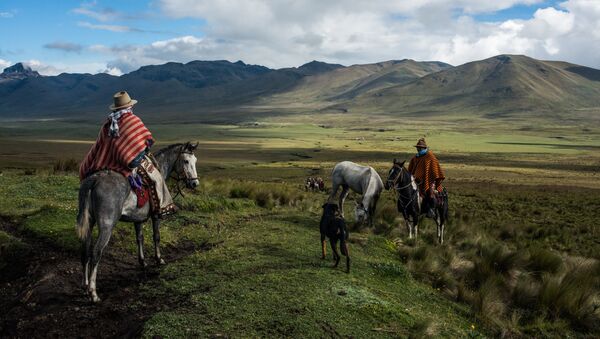 Vaqueros en la foto de Luis Fabini - Sputnik Mundo