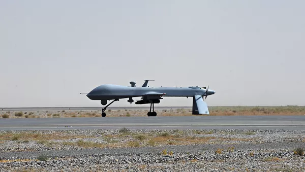 Dron US Predator (archivo) - Sputnik Mundo
