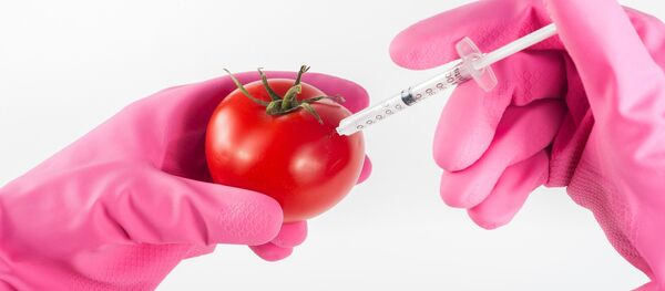 OGM (imagen referencial) - Sputnik Mundo