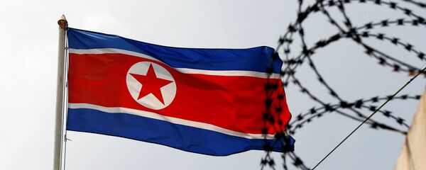 Bandera de Corea del Norte Bandera de Corea del Norte - Sputnik Mundo