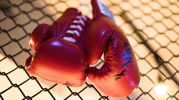 Guantes de boxeo - Sputnik Mundo