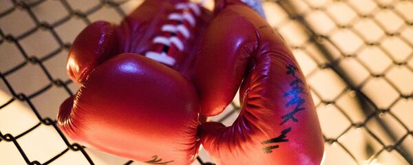 Guantes de boxeo - Sputnik Mundo