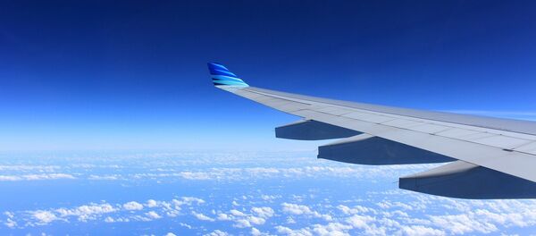 Un avión (imagen referencial) - Sputnik Mundo